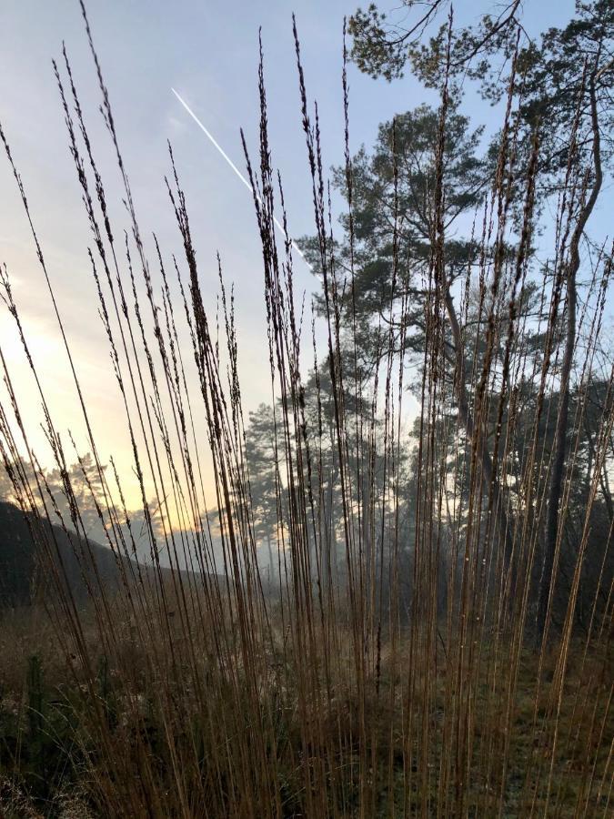 Het Natuurhuisje Op De Veluwe نونسبيت المظهر الخارجي الصورة