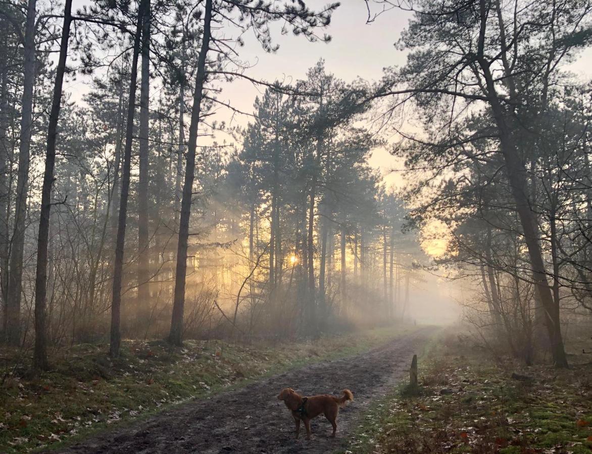 Het Natuurhuisje Op De Veluwe نونسبيت المظهر الخارجي الصورة