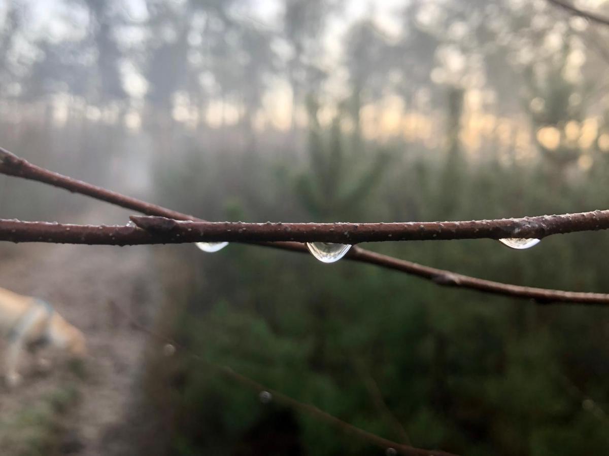 Het Natuurhuisje Op De Veluwe نونسبيت المظهر الخارجي الصورة