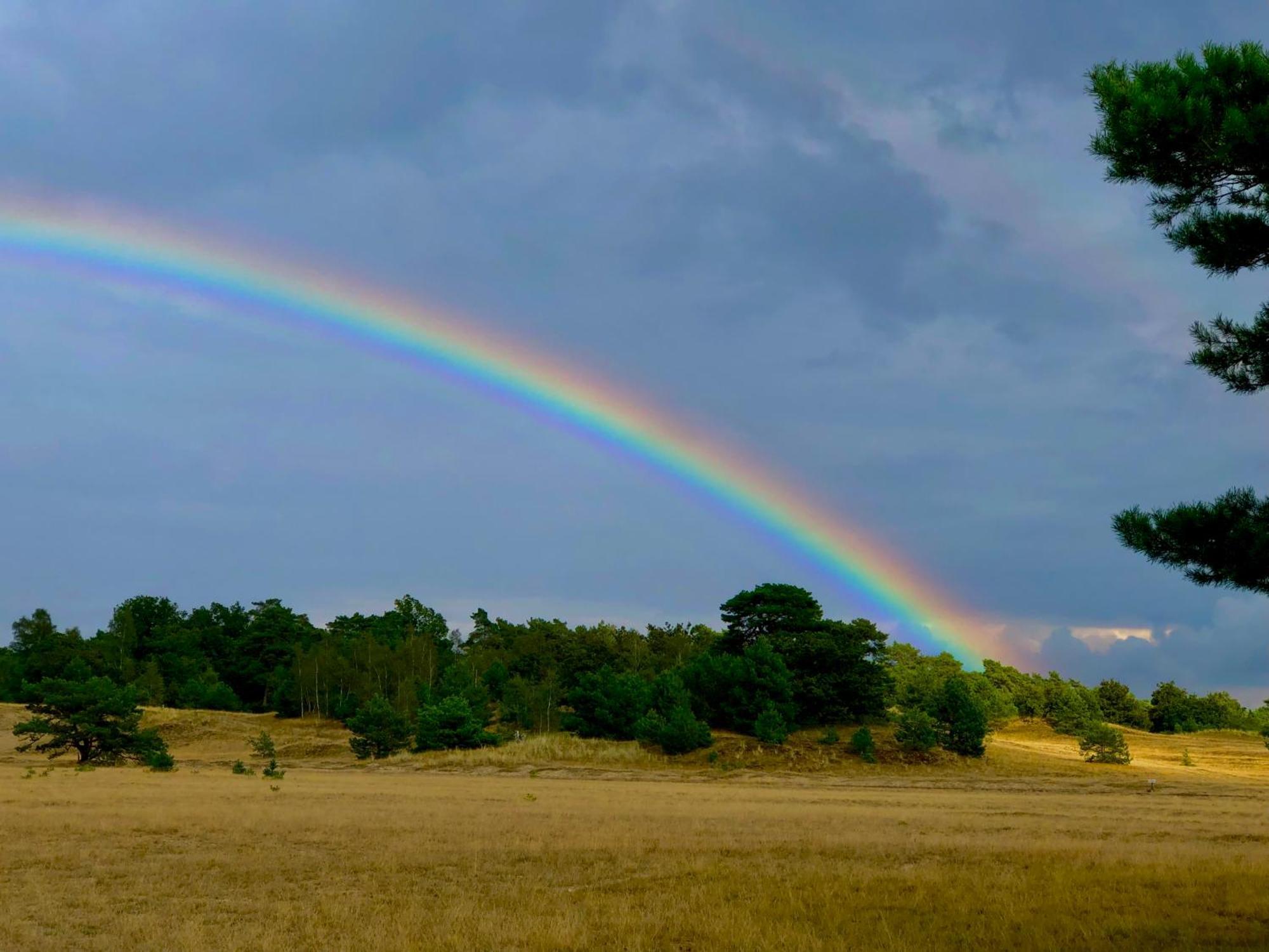 Het Natuurhuisje Op De Veluwe نونسبيت المظهر الخارجي الصورة
