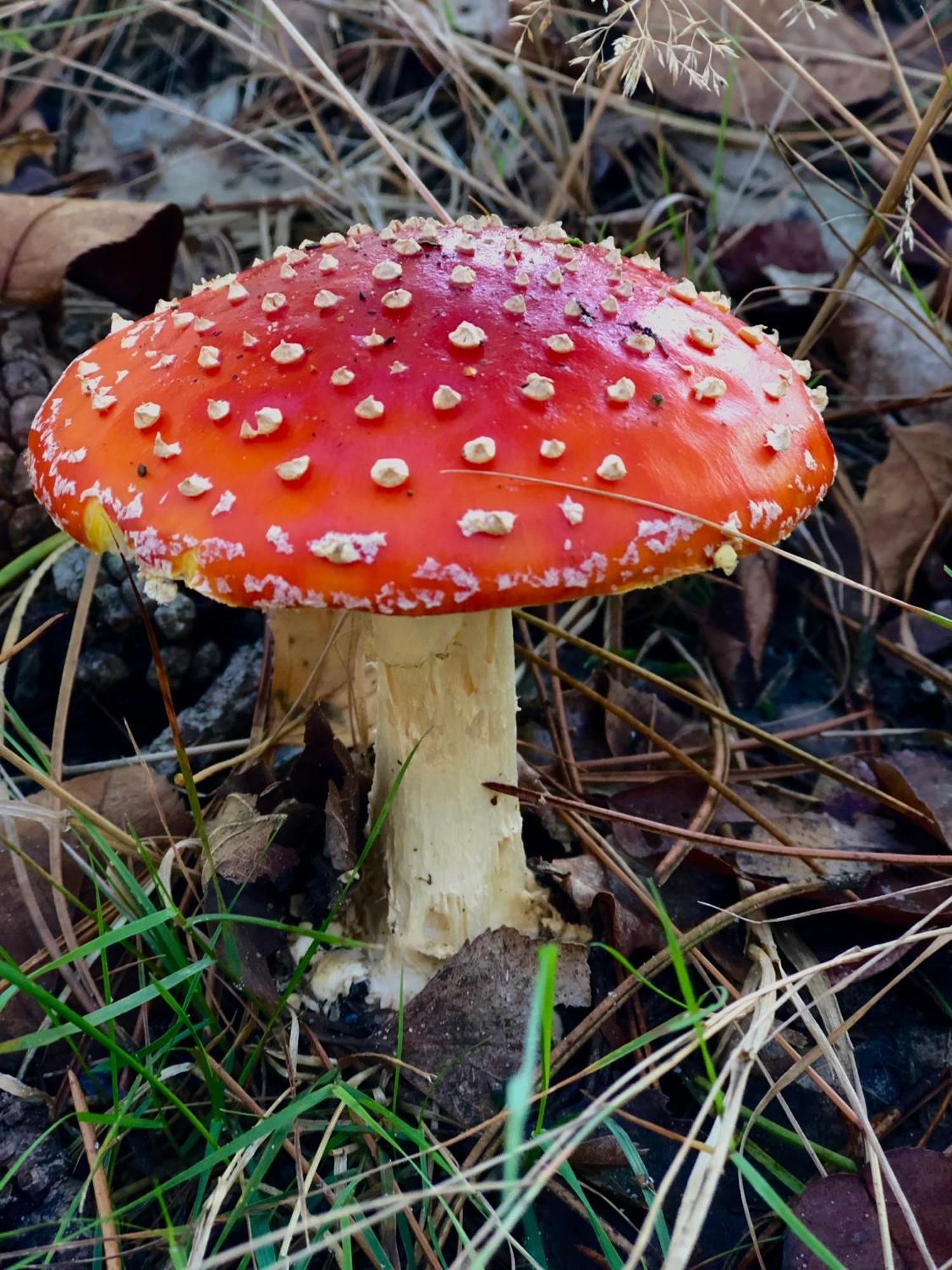 Het Natuurhuisje Op De Veluwe نونسبيت المظهر الخارجي الصورة